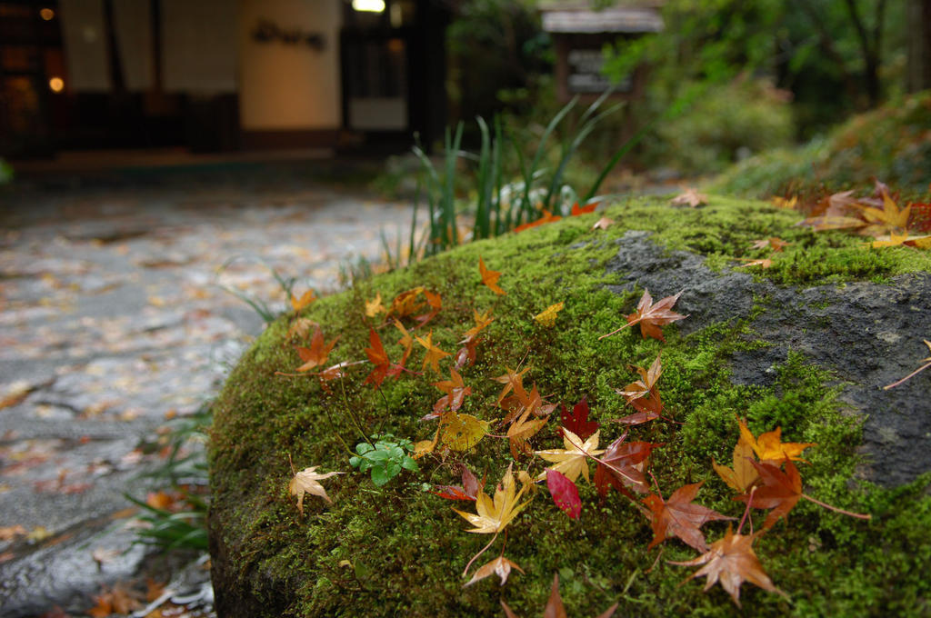 Yamamizuki Hotel Minamioguni Kültér fotó